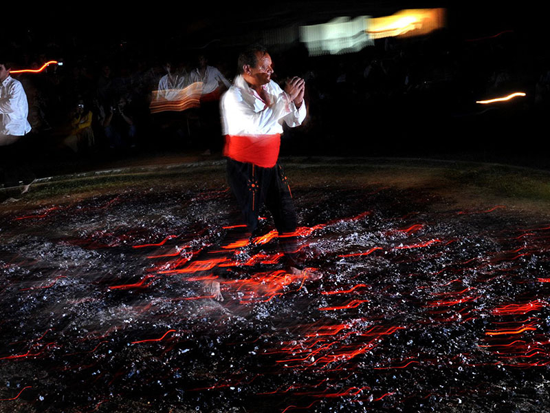 وليمة في الغابة – أمسية ترفيهية