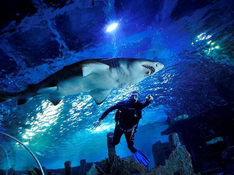 رحلة إسطنبول – مدينة القارتين 