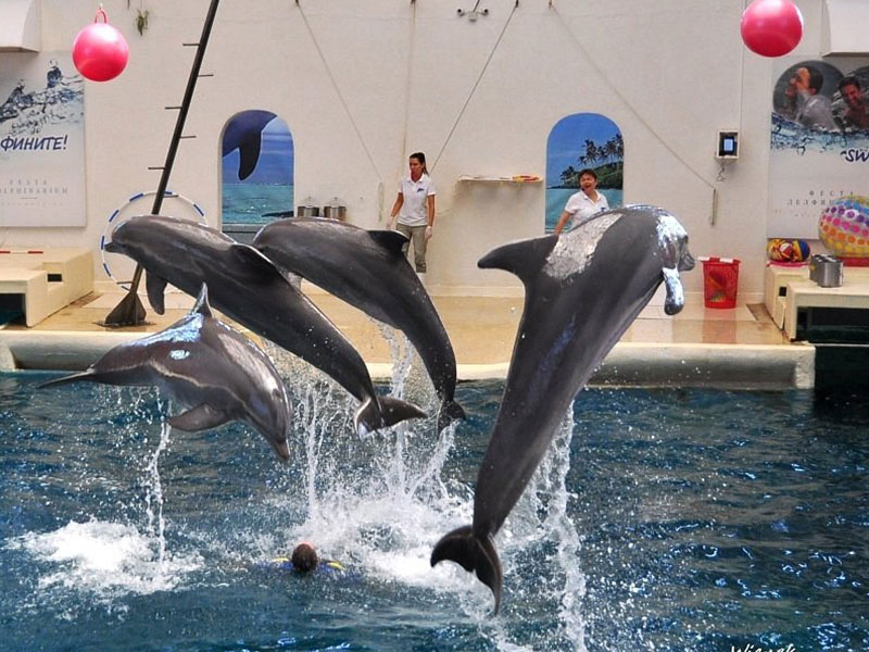 جولة مدينة فارنا البانورامية 