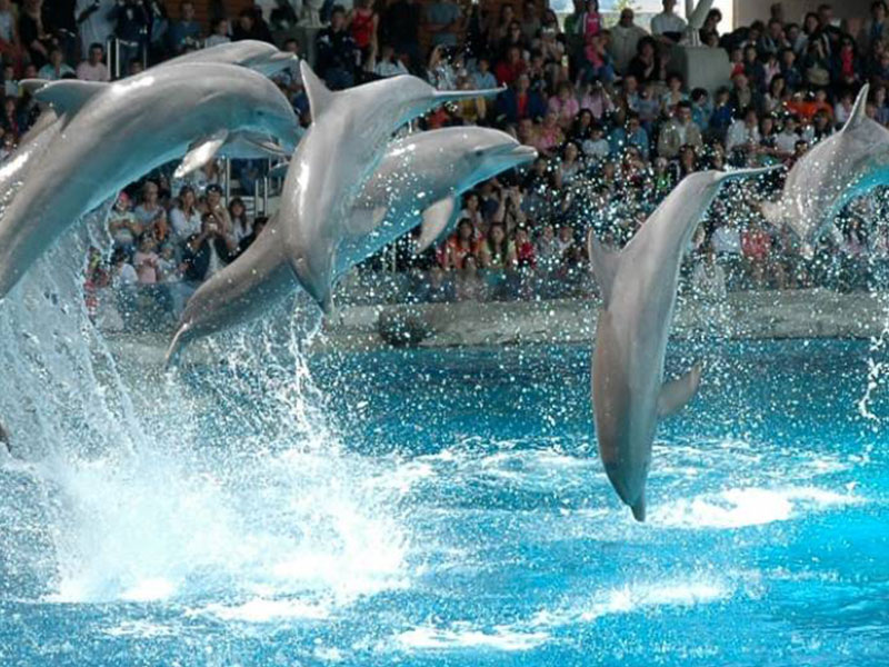 جولة مدينة فارنا البانورامية 