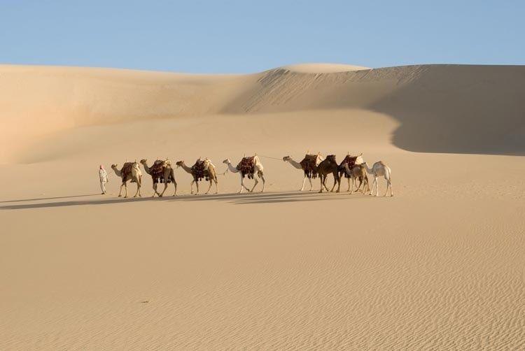 Sahara Desert & Egyptian Oasis ( Dakhla, Kharga, Farafra & White Desert)